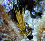 Odenwald Mineralien Reichenbach 14.0 Bismutit