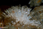 Odenwald Mineralien Reichenbach Borstein Bergkristall (Quarz)