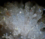 Odenwald Mineralien Reichenbach Borstein Bergkristall (Quarz)
