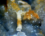 Odenwald Mineralien Reichenbach Borstein Bergkristall (Quarz)