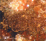 Odenwald Mineralien Reichenbach Borstein Haematit