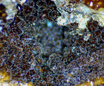 Odenwald Mineralien Reichenbach Borstein Haematit