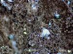 Odenwald Mineralien Reichenbach Borstein Haematit Samtblende