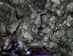 Odenwald Mineralien Nieder-Beerbach Glasberg Arsen