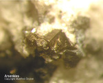 Odenwald Mineralien Nieder-Beerbach Glasberg Arsenkies