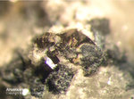 Odenwald Mineralien Nieder-Beerbach Glasberg Arsenkies