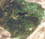 Odenwald Mineralien Reichenbach Borstein Baryt