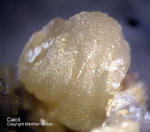 Odenwald Mineralien Waschenbach Calcit
