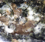Mineralien Odenwald Erlenbach Titanit