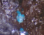 Odenwald Mineralien Gadernheim Plumbogummit