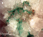 Odenwald Mineralien Katzenstein Cornwallit