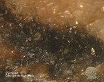 Odenwald Mineralien Katzenstein Pyrolusit