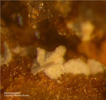 Odenwald Mineralien Katzenstein Pyromorphit