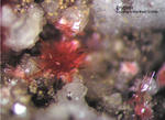 Odenwald Mineralien Mackenheim Erythrin