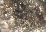 Odenwald Mineralien Nieder-Beerbach Glasberg Arsenolamprit