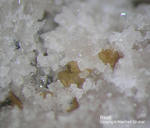 Eifel Mineralien Bellerberg Biotit