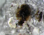 Eifel Mineralien Bellerberg Biotit