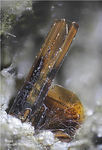 Eifel Mineralien Bellerberg Biotit