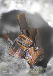 Eifel Mineralien Bellerberg Biotit