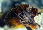 Eifel Mineralien Bellerberg Biotit