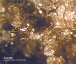 Eifel Mineralien Bellerberg Sodalith