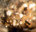 Eifel Mineralien Bellerberg Sodalith