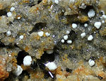 Eifel Mineralien Bellerberg Sodalith