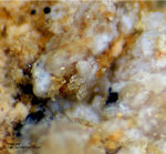 Eifel Mineralien Bellerberg Wadalit