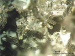 Eifel Mineralien Berzeliushütte Stolberg Fayalit