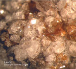Eifel Mineralien Emmelberg Leucit