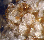 Eifel Mineralien Emmelberg Leucit