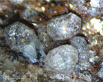 Eifel Mineralien Emmelberg Leucit