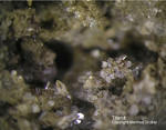 Eifel Mineralien Emmelberg Titanit