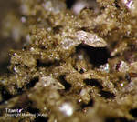 Eifel Mineralien Emmelberg Titanit