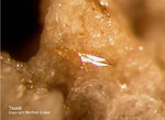 Eifel Mineralien Emmelberg Titanit