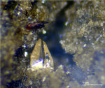 Eifel Mineralien Emmelberg Titanit