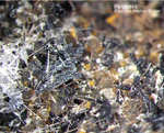 Eifel Mineralien Hannebacher Ley Perowskit