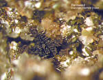 Eifel Mineralien Hannebacher Ley Perowskit