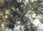 Eifel Mineralien Hannebacher Ley Perowskit