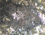 Eifel Mineralien Hannebacher Ley Perowskit