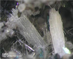 Eifel Mineralien Liley Calcit