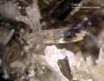 Eifel Mineralien Liley Calcit