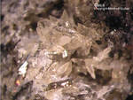 Eifel Mineralien Liley Calcit