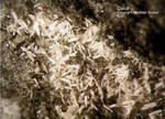 Eifel Mineralien Liley Calcit