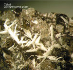 Eifel Mineralien Liley Calcit
