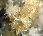 Eifel Mineralien Liley Calcit