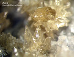 Eifel Mineralien Liley Calcit