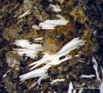 Eifel Mineralien Liley Calcit