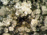 Eifel Mineralien Liley Nephelin