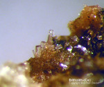 Eifel Mineralien Mendig Britholith